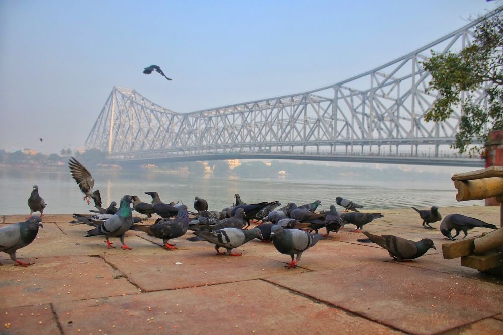 Photograph by NAVONIL SAHA