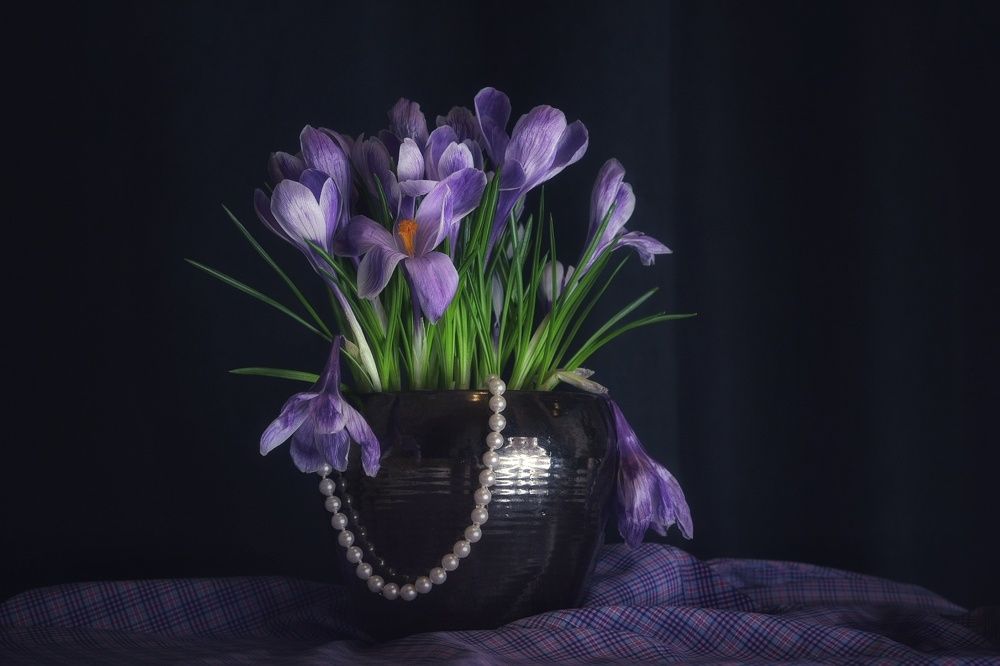 Фотография автора Justyna Jeżak