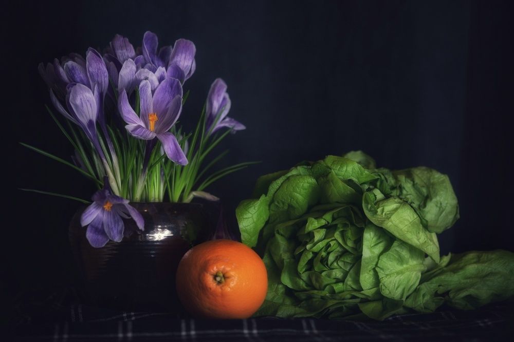 Фотография автора Justyna Jeżak