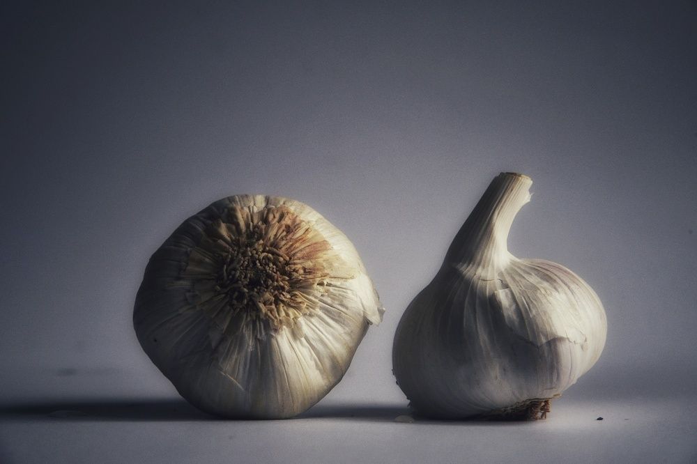 Фотография автора Justyna Jeżak