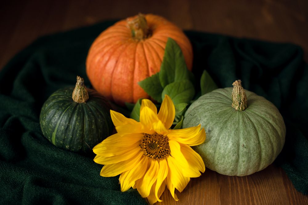 Photograph by Ольга Тюгина