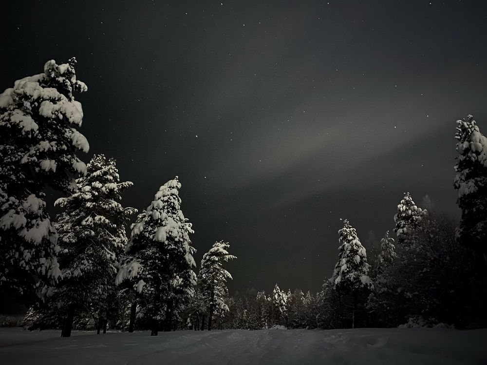 Зимний пейзаж