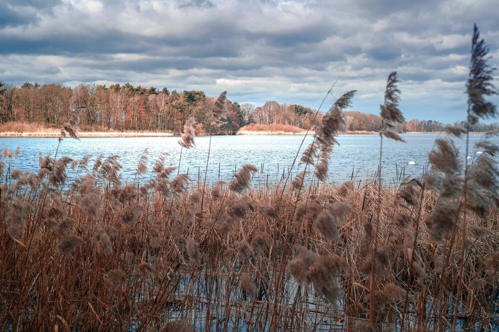 Фотография автора NIghtdream