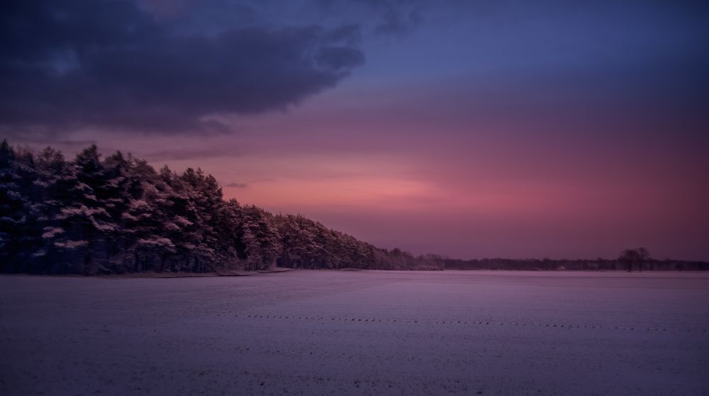 Фотография автора NIghtdream