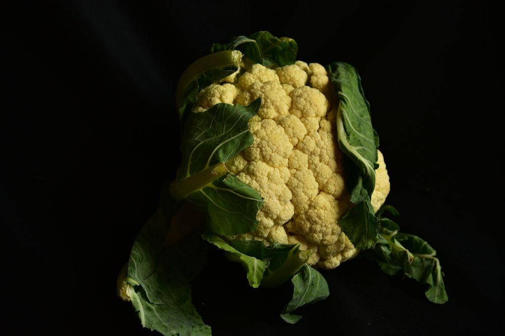 Фотография автора Justyna Jeżak