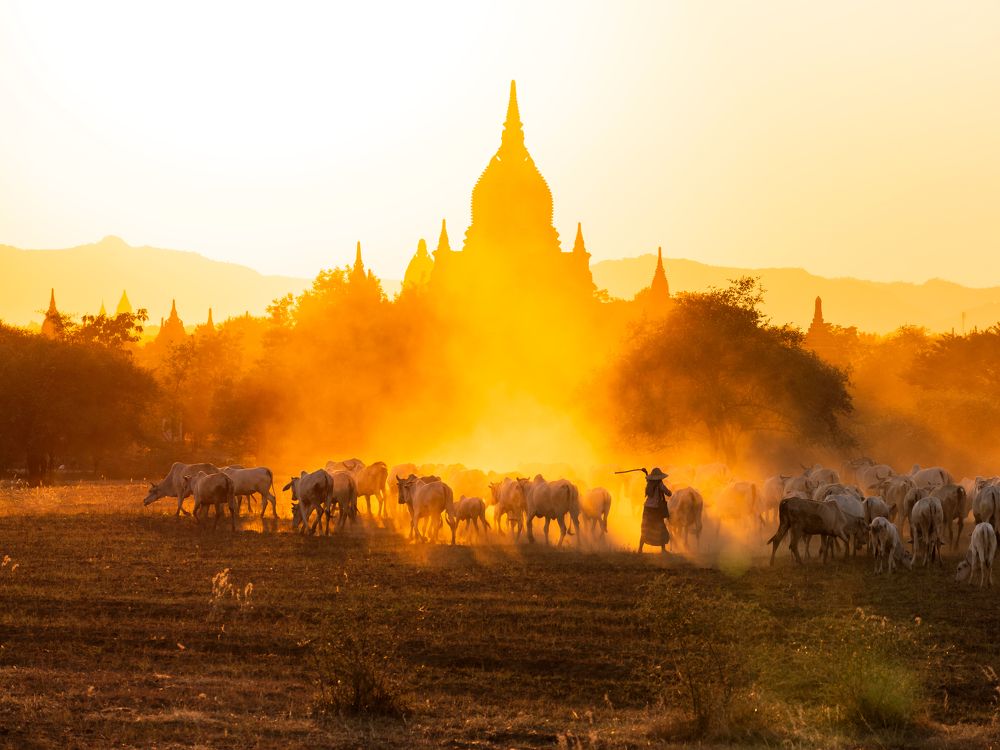 Photograph by Hlaingwin Thura