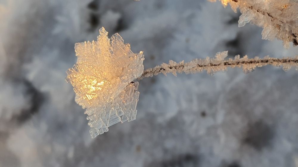 Photograph by Ольга Лукина