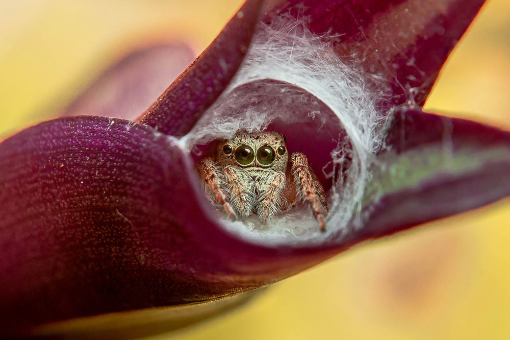 Photograph by Jerian Dale V. Figueroa