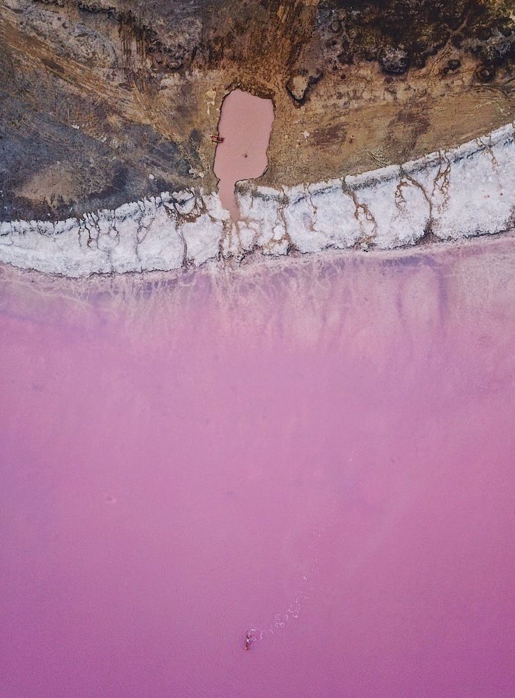 Источник розового