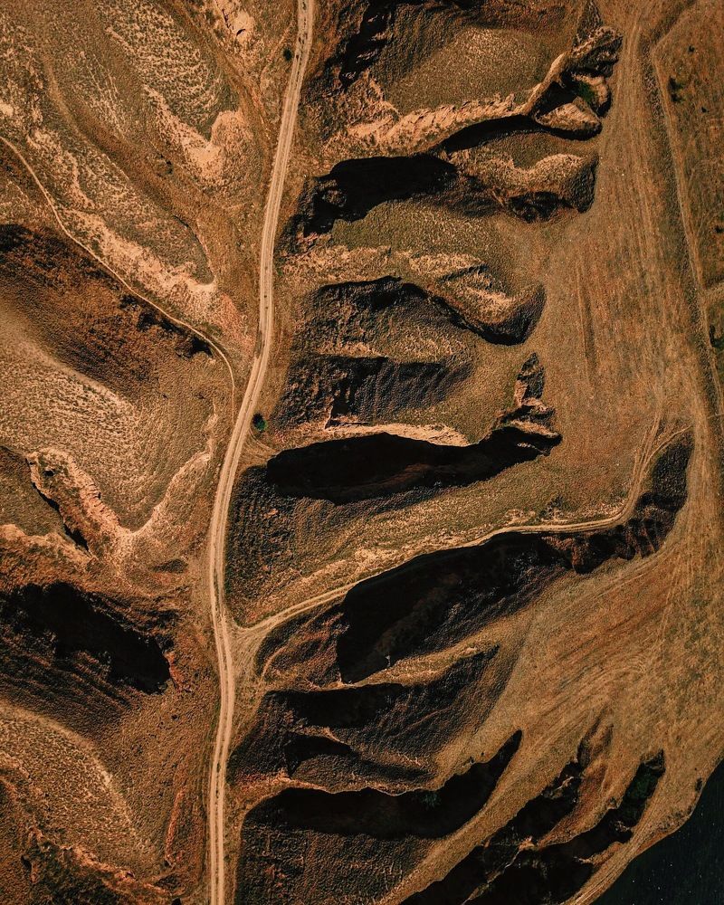 Среди нас живут драконы