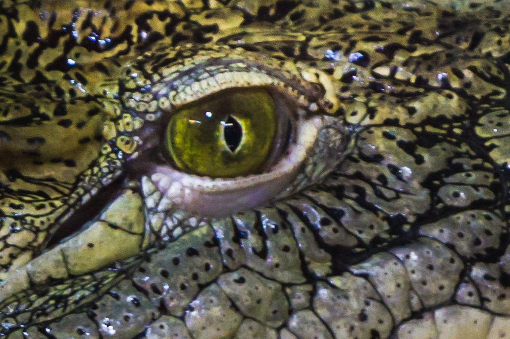 Photograph by Светлана Гонская