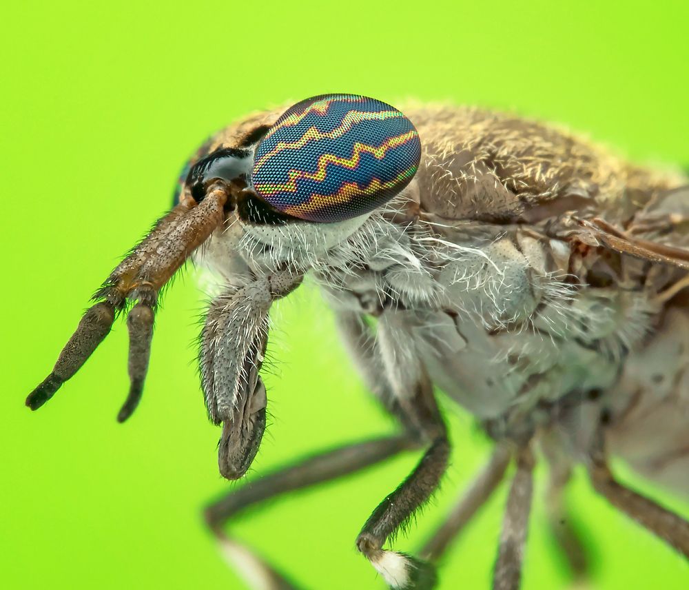 Photograph by TIAN CHING TAN