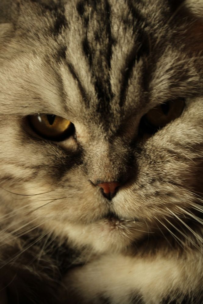 Photograph by Алина Лебедева