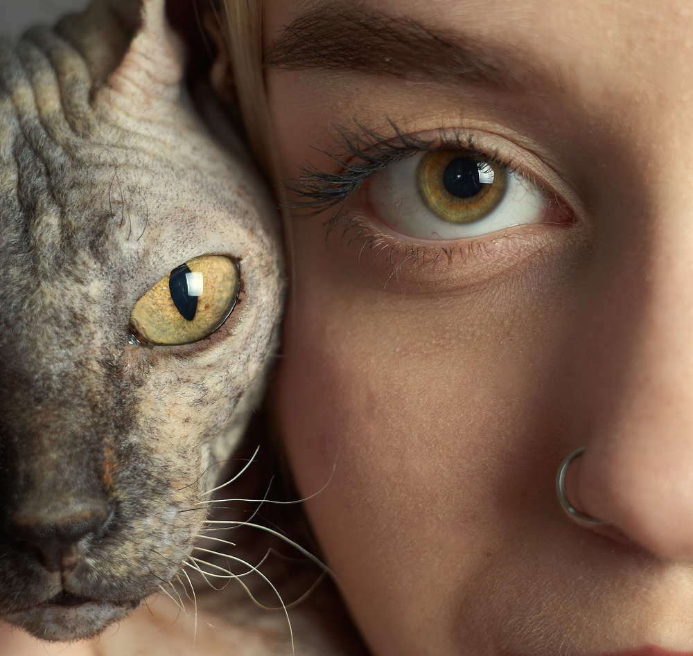 Фотография автора Вячеслав Владимирович