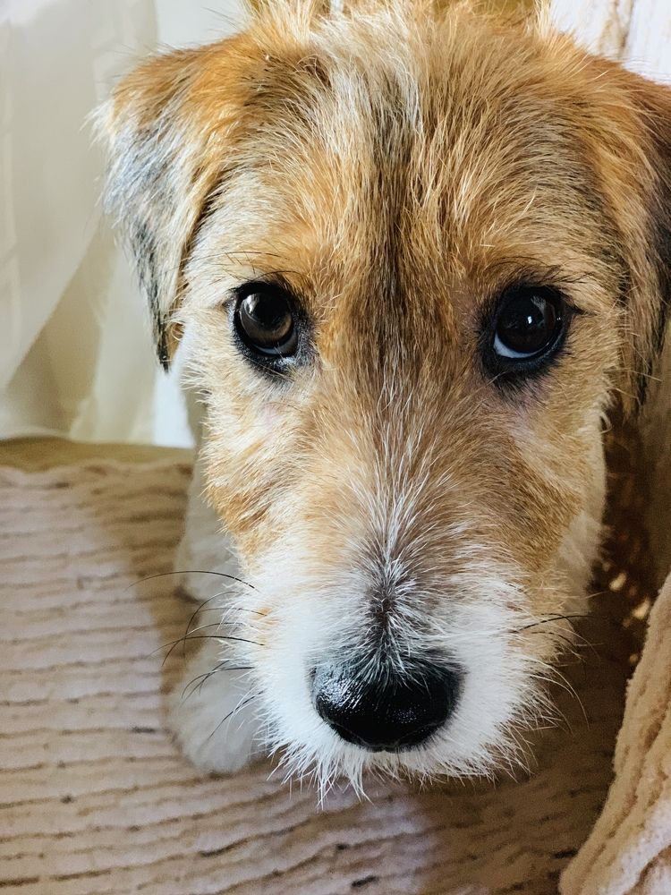 Photograph by Ольга Ходурская