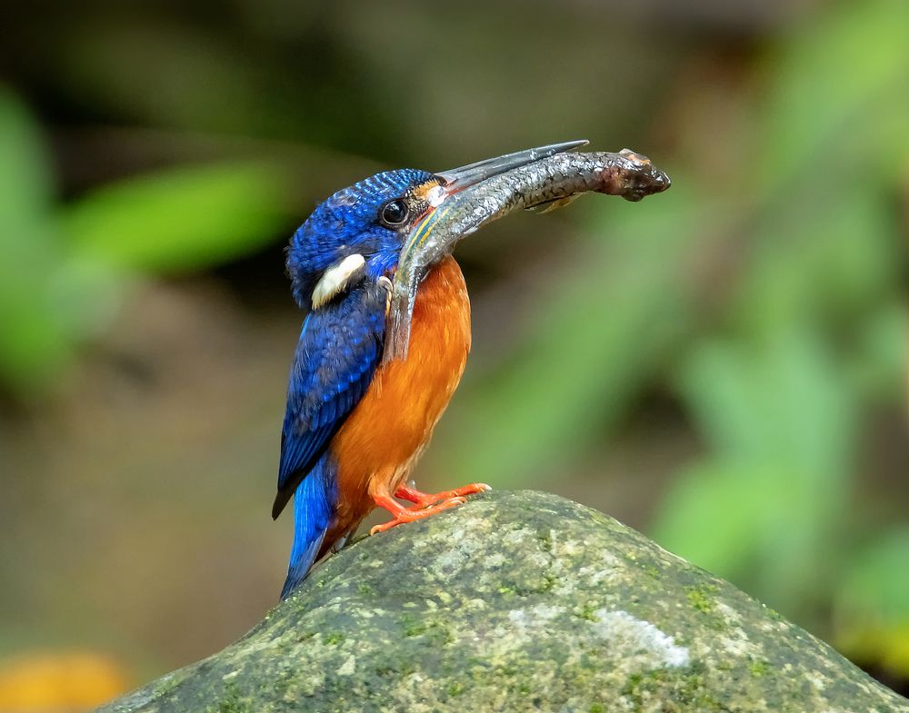 Photograph by TIAN CHING TAN