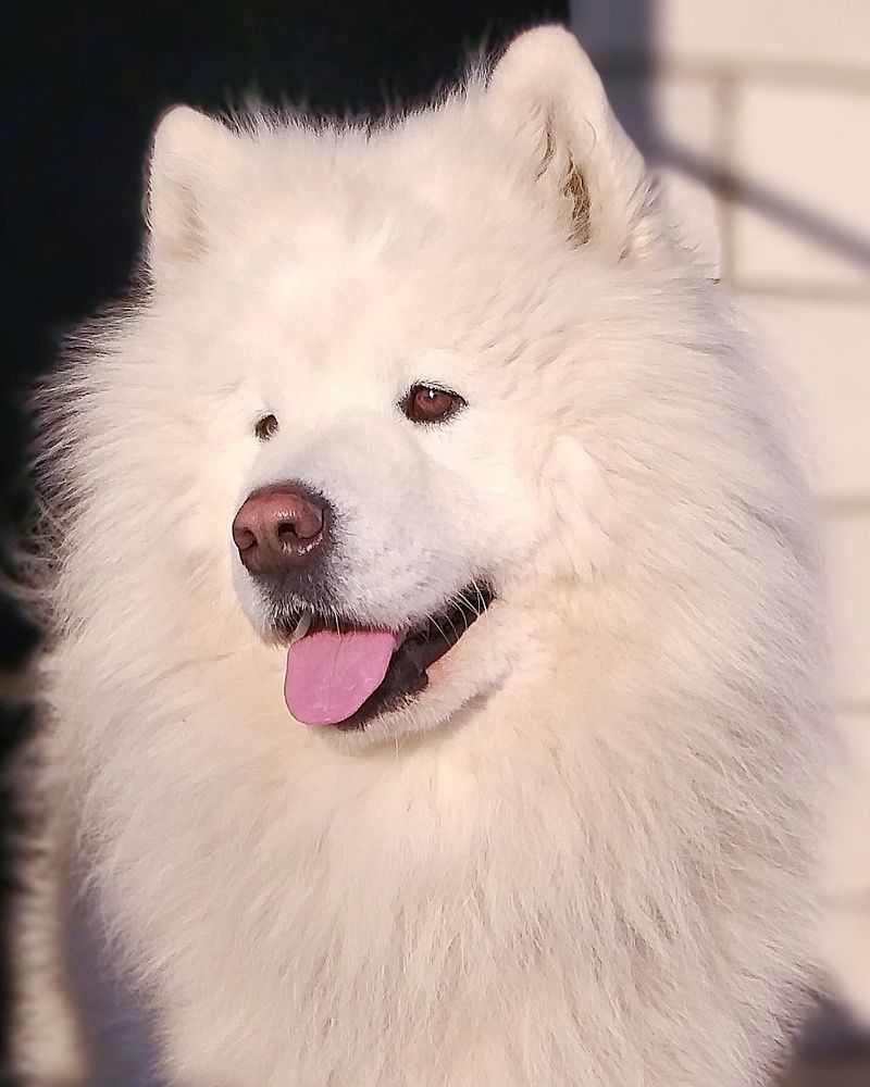 Добрые глаза