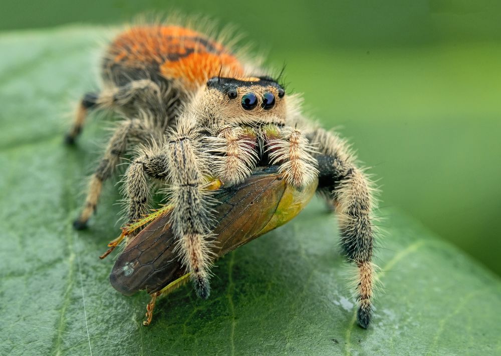 Photograph by TIAN CHING TAN