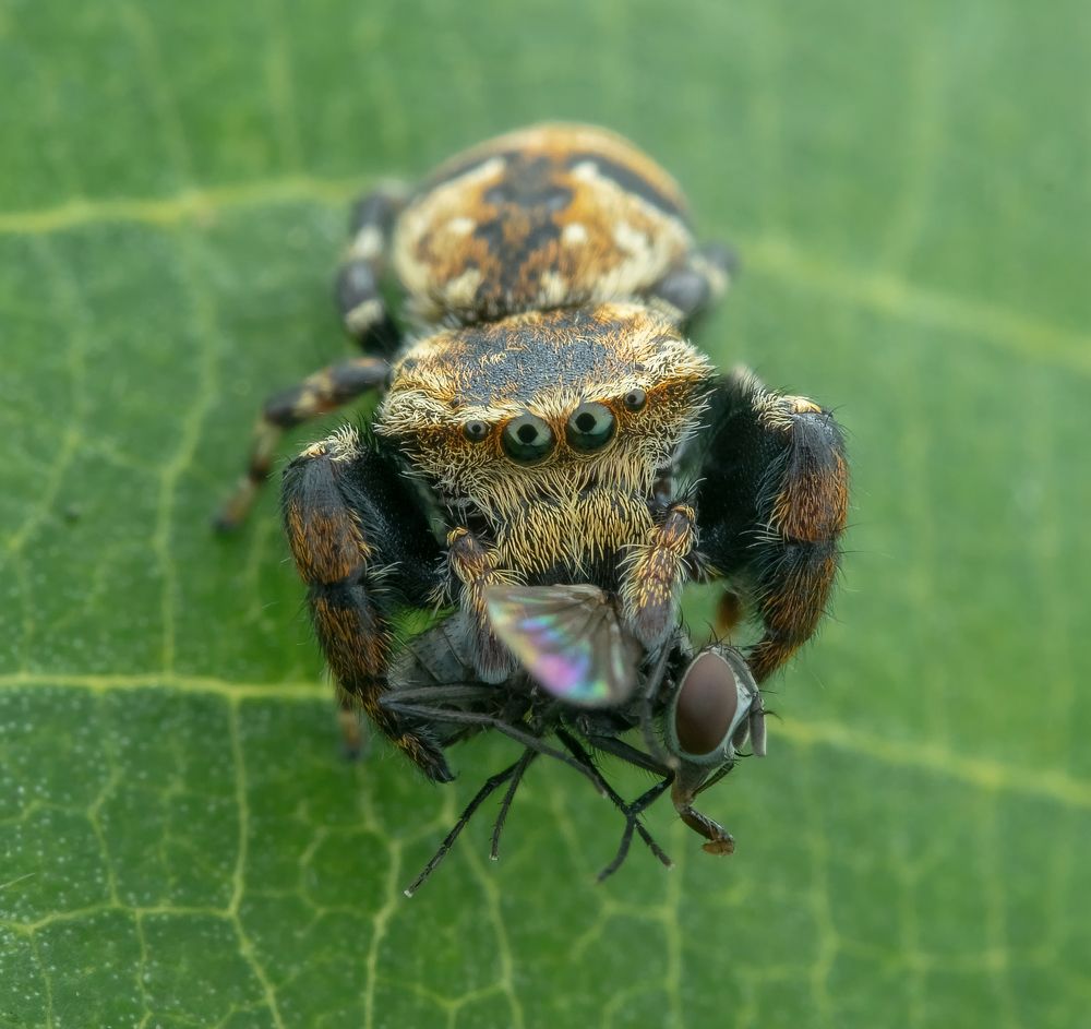 Photograph by TIAN CHING TAN