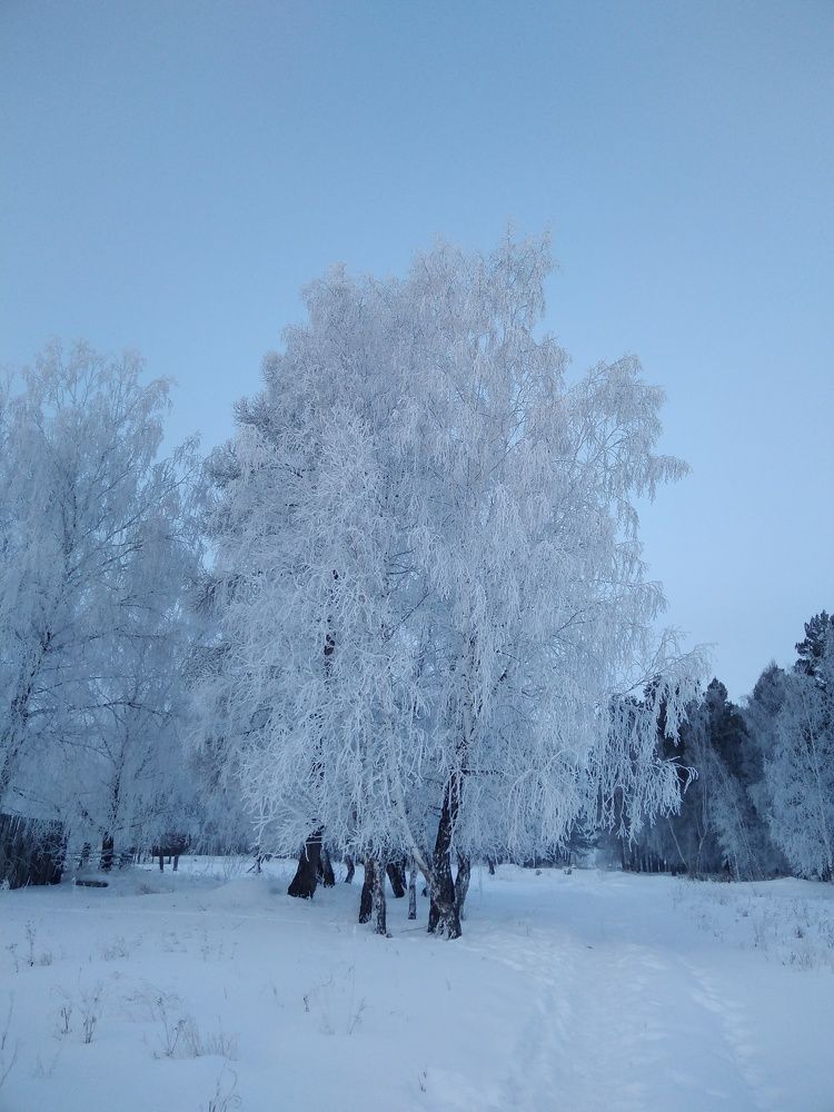 Photograph by Елена Федорова
