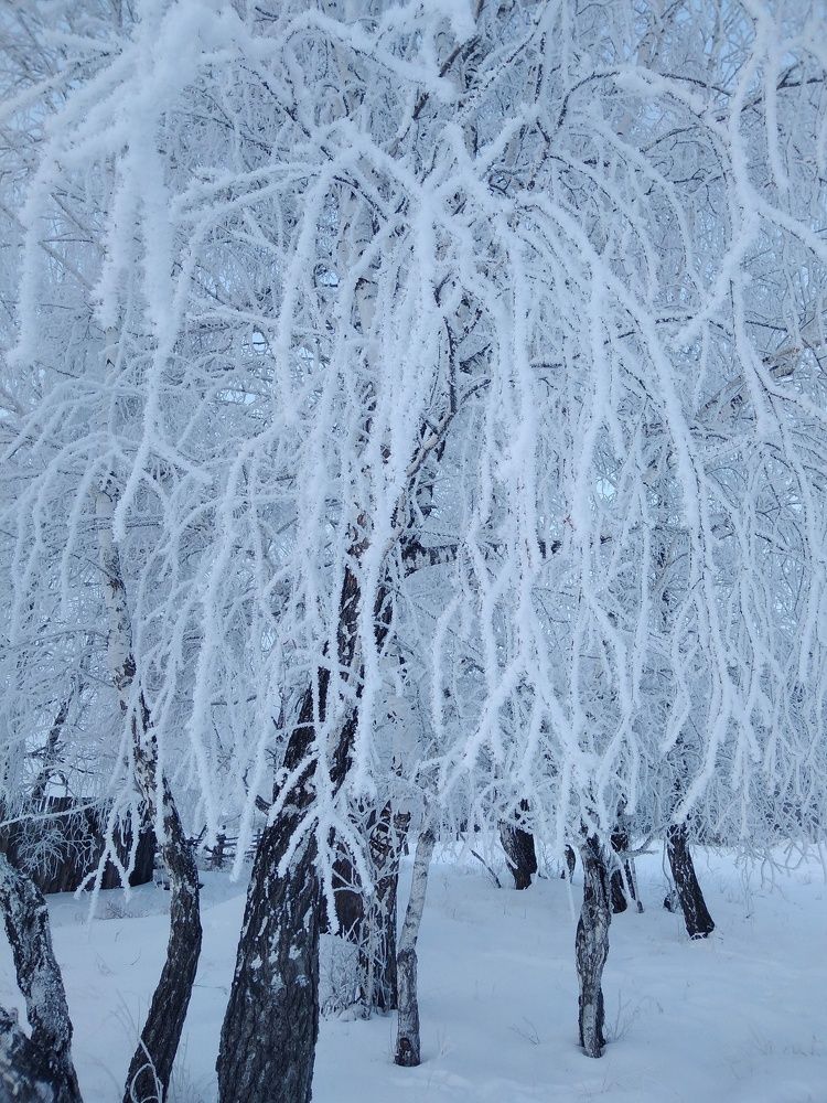 Photograph by Елена Федорова