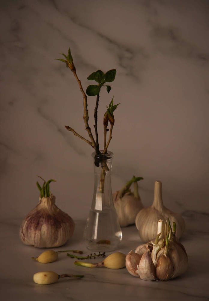 Пробуждение