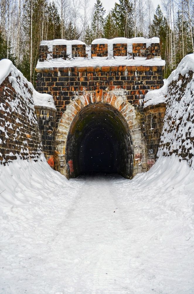 Photograph by Максим Солдатенко