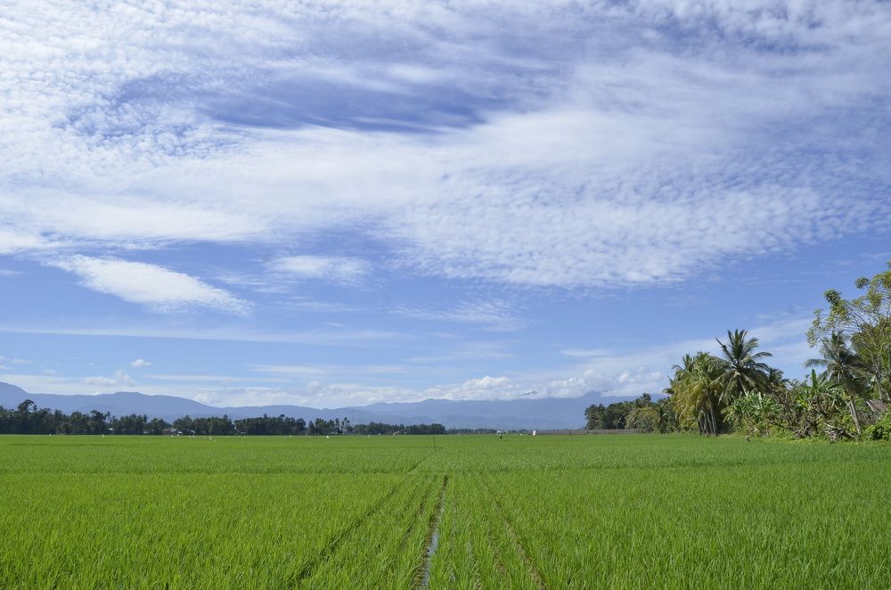Фотография автора photograph Umar abdi