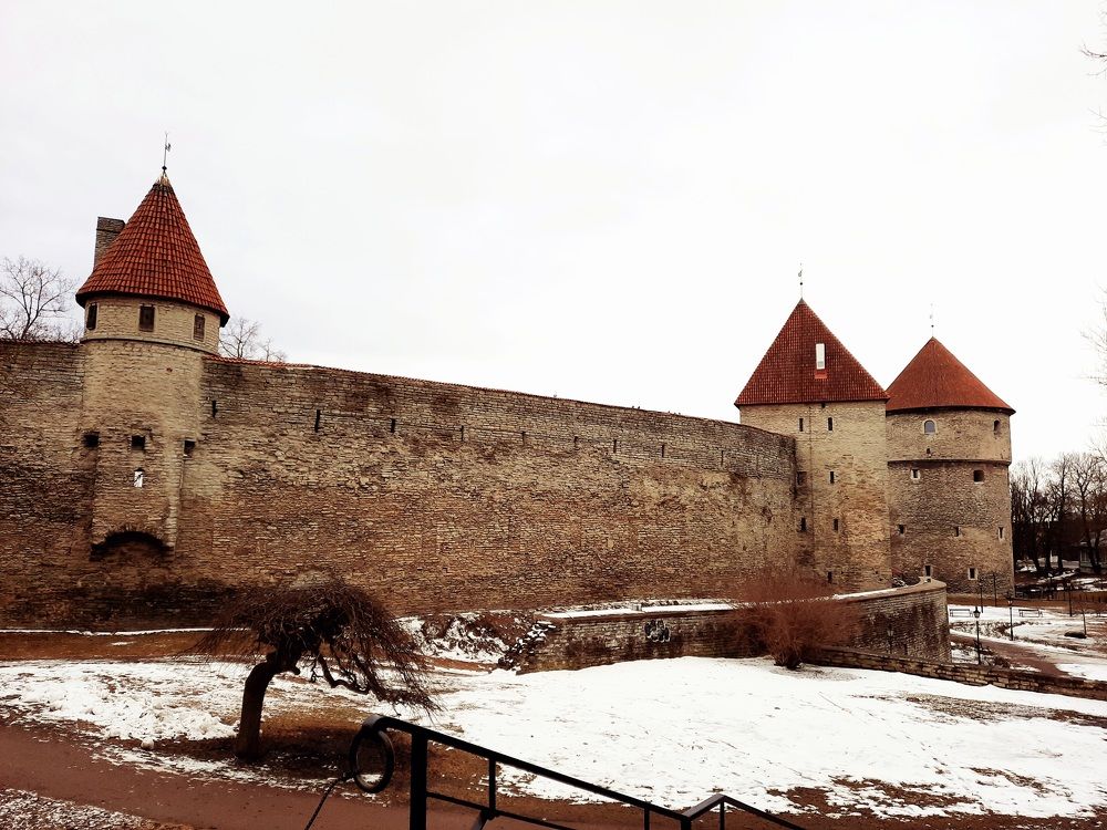 Таллин