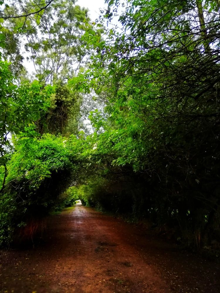 Photograph by Wilson baldion soler