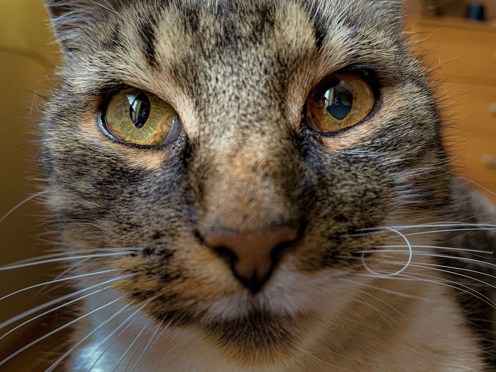 Photograph by Stanislav Strisovsky