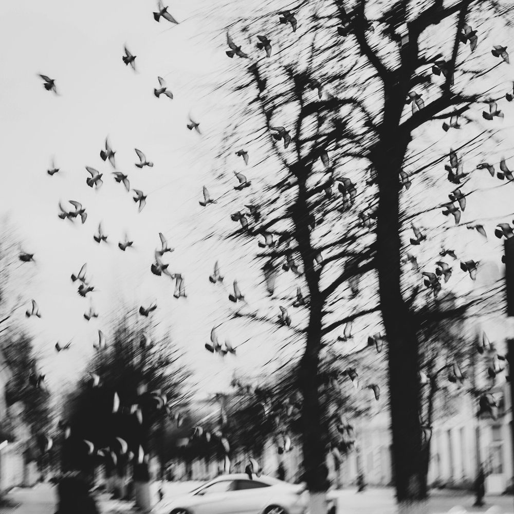 Photograph by Екатерина