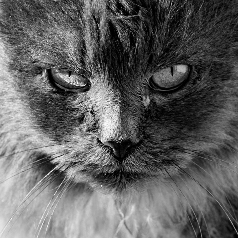 Photograph by Владислав Шигера