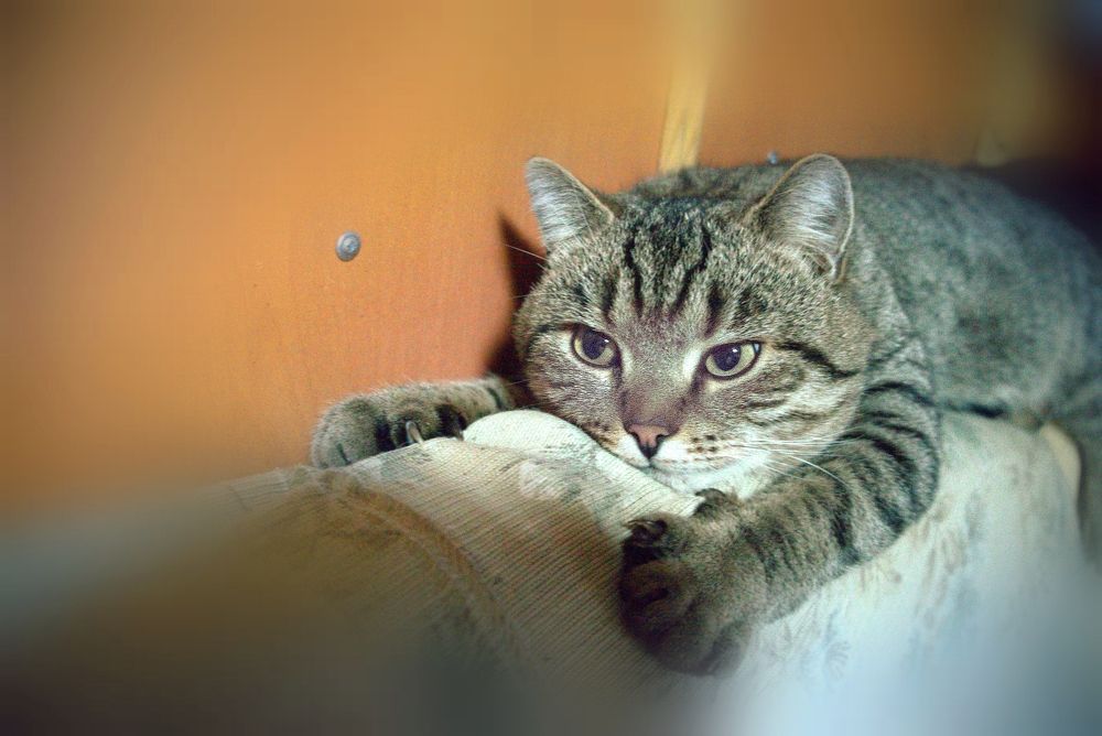 Photograph by Николай Почкалов