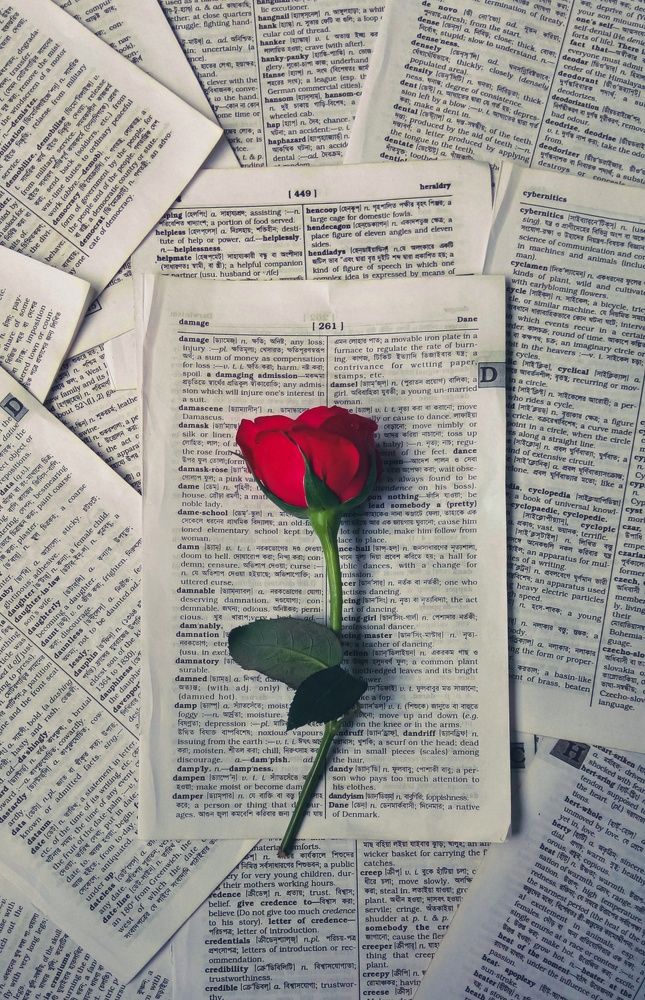 Photograph by Biswas Utsab