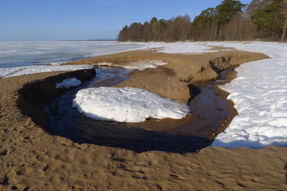 Весенние проталины.