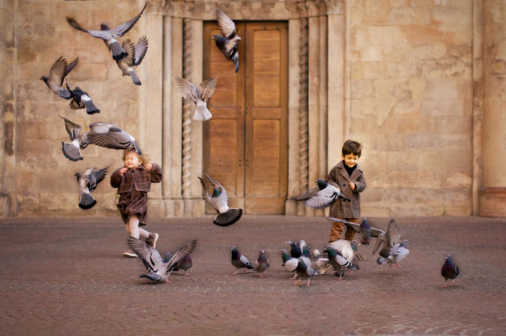 Piccioni in piazza Duomo