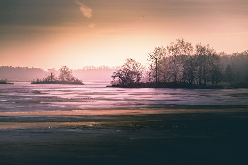 Фотография автора NIghtdream