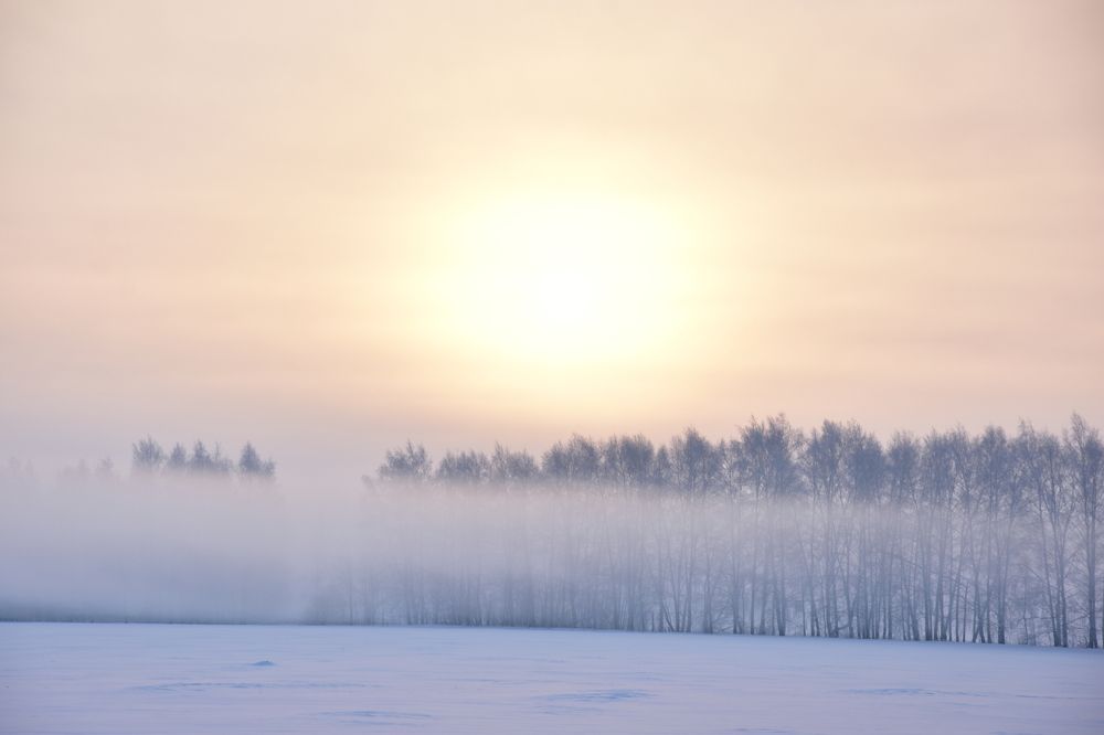 Photograph by Валерий Гудков