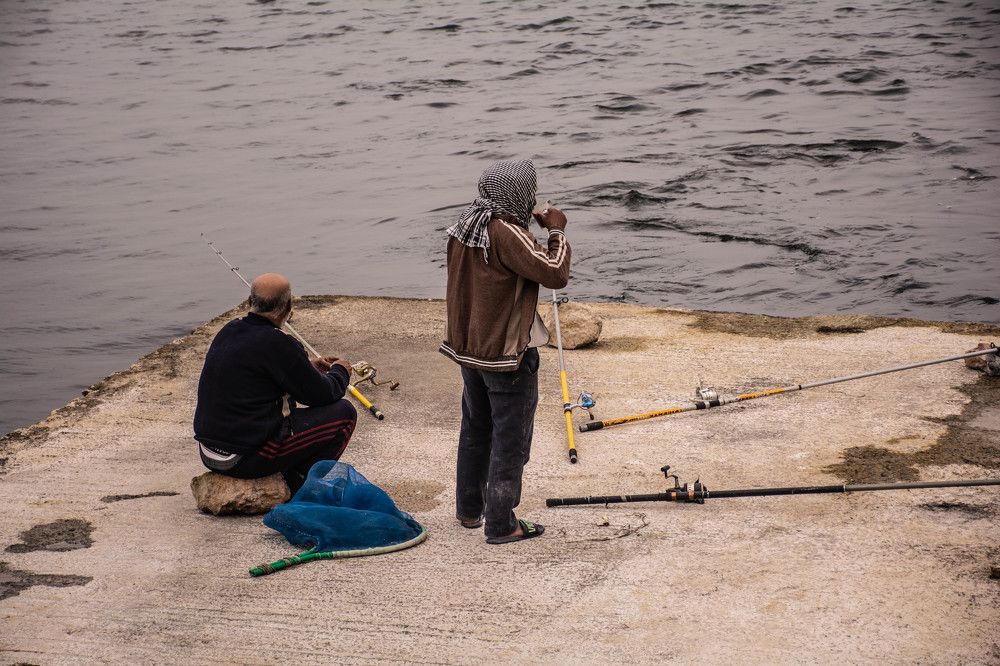 Photograph by islam elsayed eldaramlly