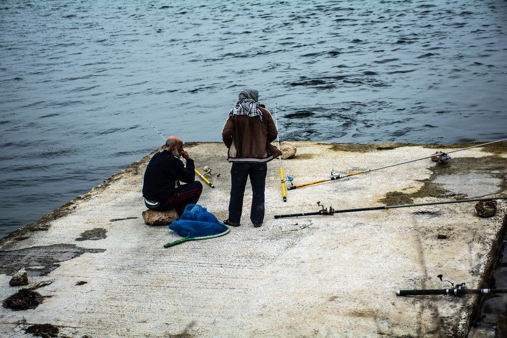 Photograph by islam elsayed eldaramlly