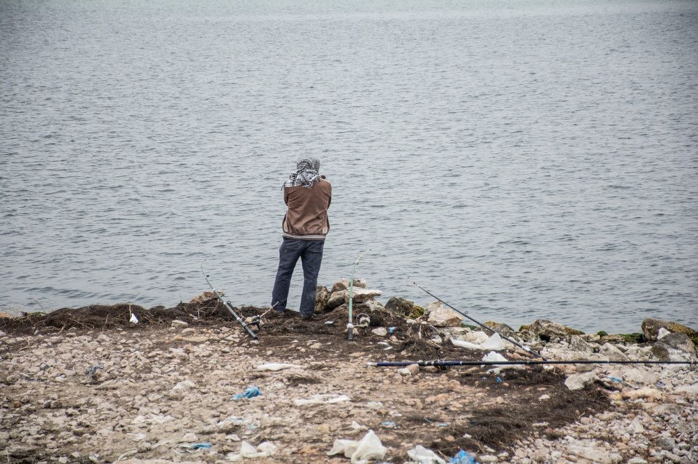 Photograph by islam elsayed eldaramlly