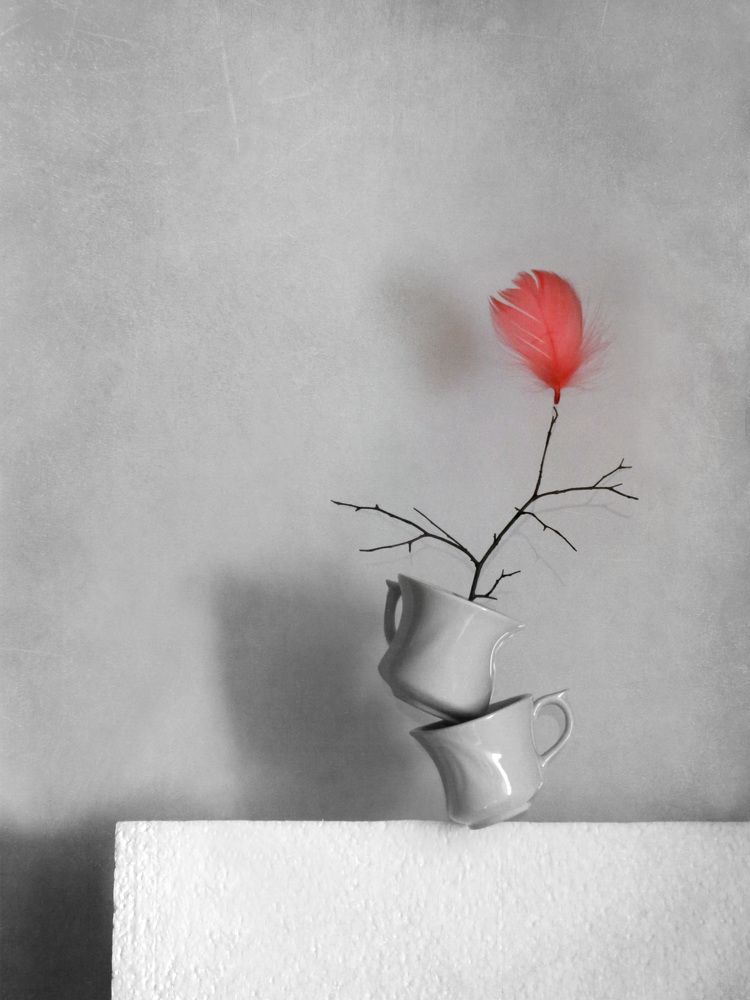 Фотография автора Елена Лысенко