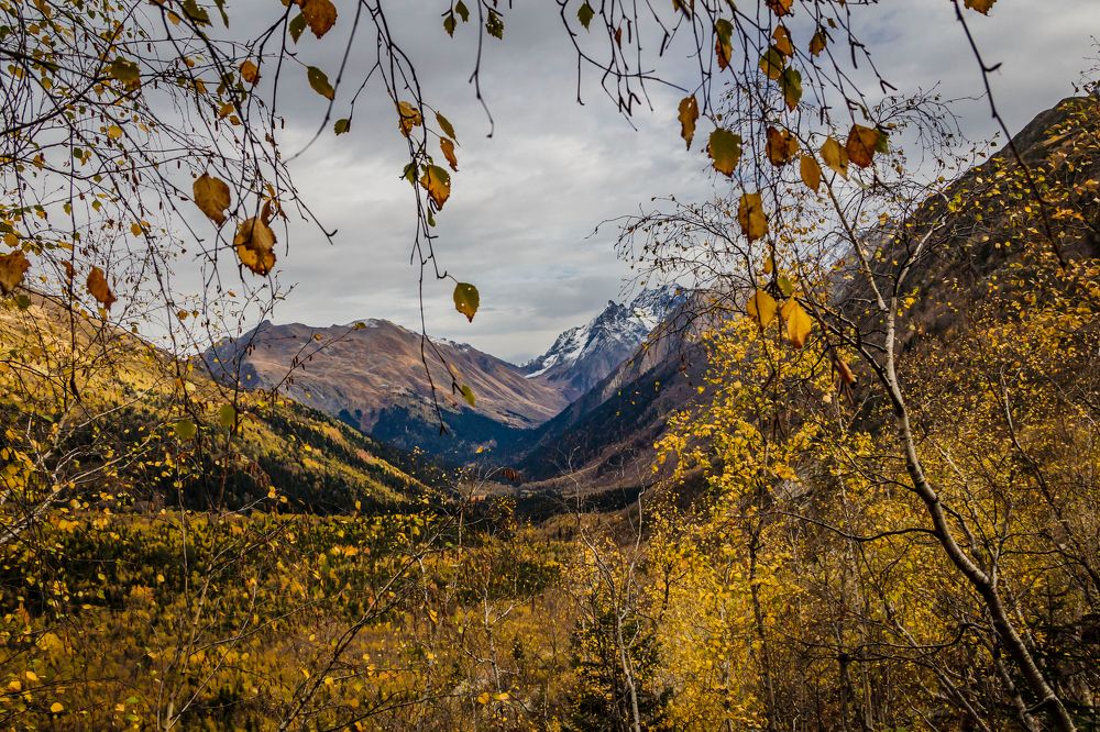 Photograph by Игорь Сидун