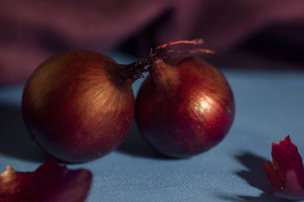 Photograph by Anna Gapanovich