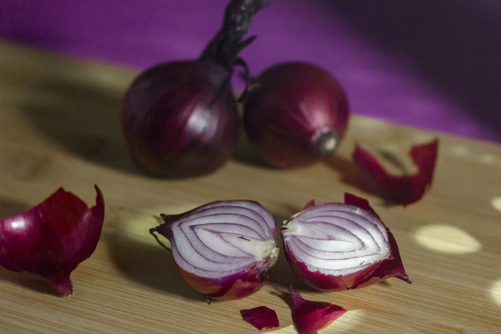 Photograph by Anna Gapanovich