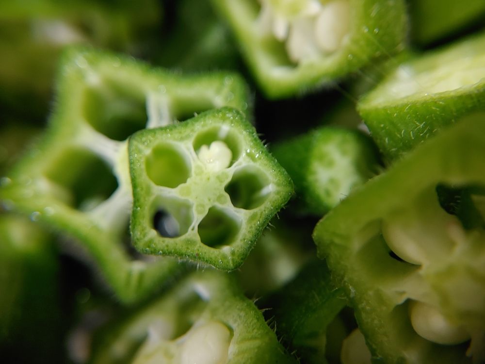 Photograph by Sai Vamsi Krishna Vintha