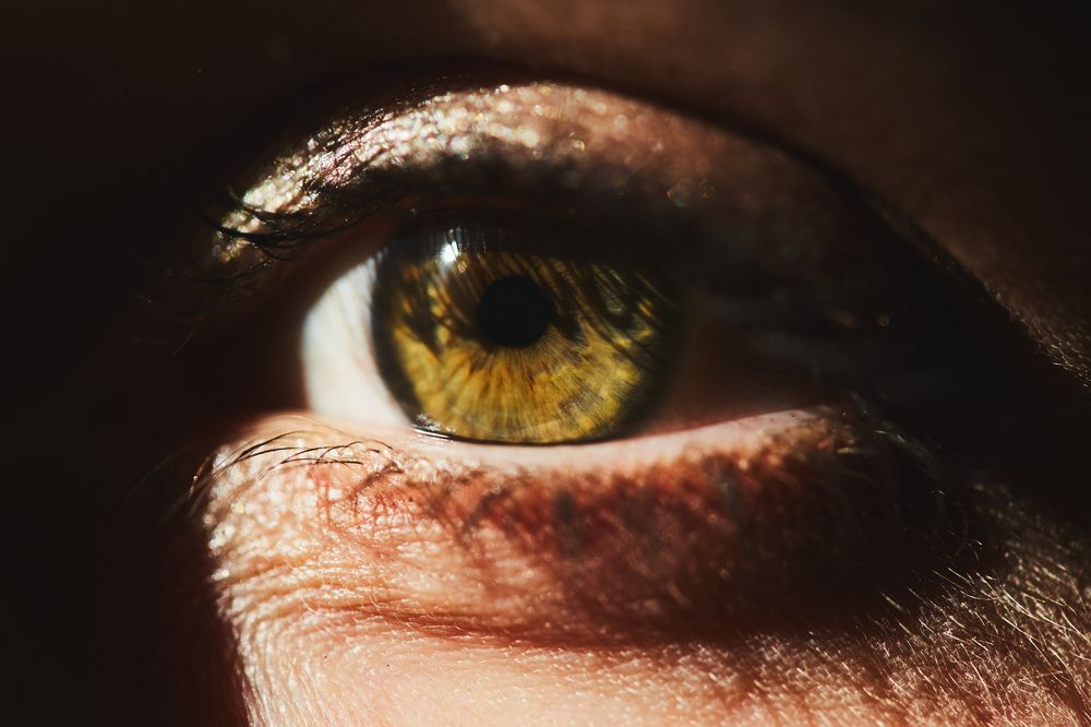 Photograph by Никитич Никита