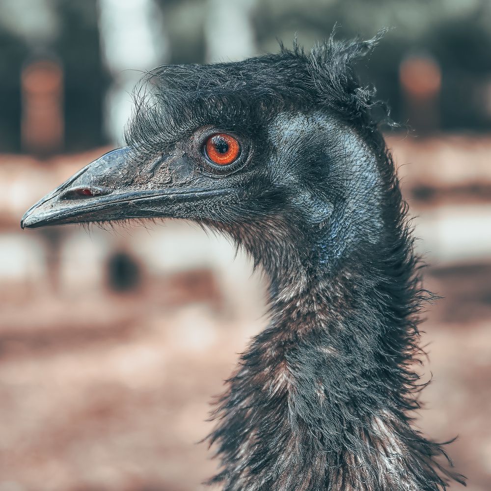 Photograph by Kamil Puobiš