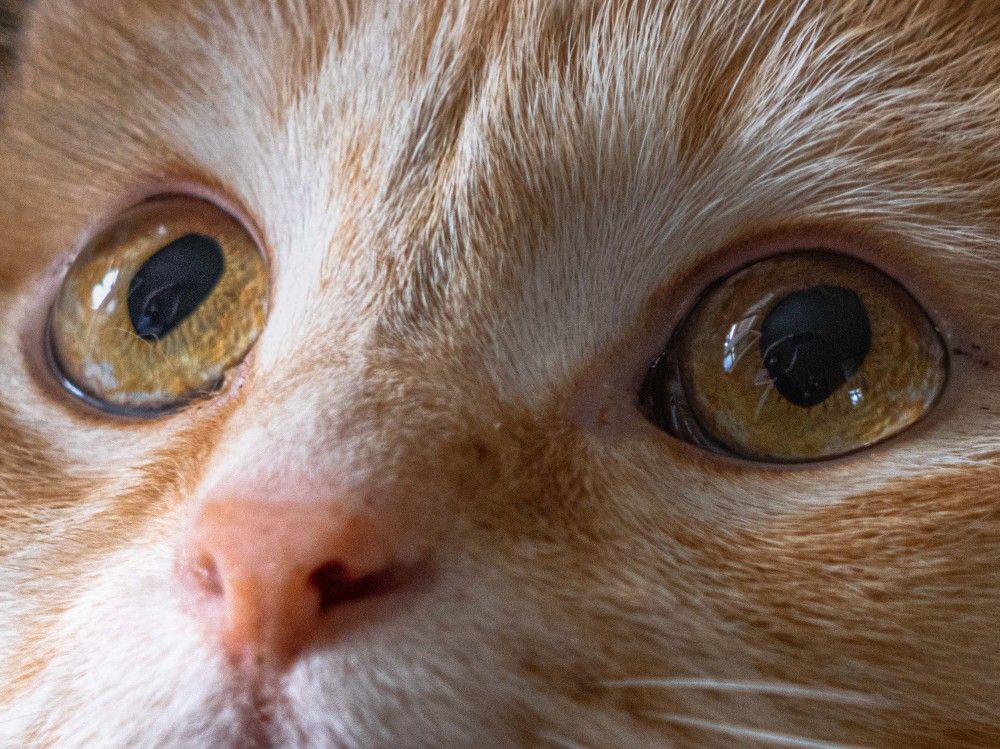 Photograph by mikhail goryachev